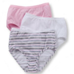 Fruit Of The Loom Women s Cotton Brief Panties 3 Pack Walmart