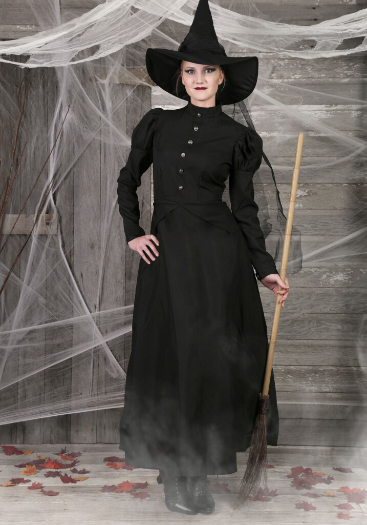Women s Plus Size Witch Costume Evil Witch Costume